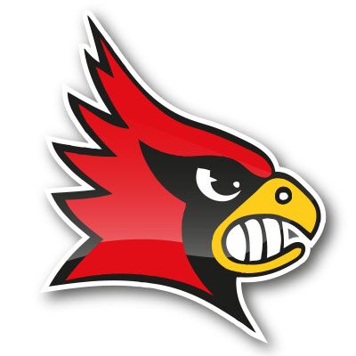 Assindia Cardinals